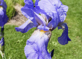 001 - conquistador 1923